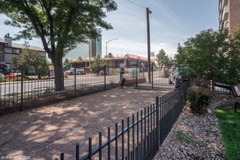 Dog run